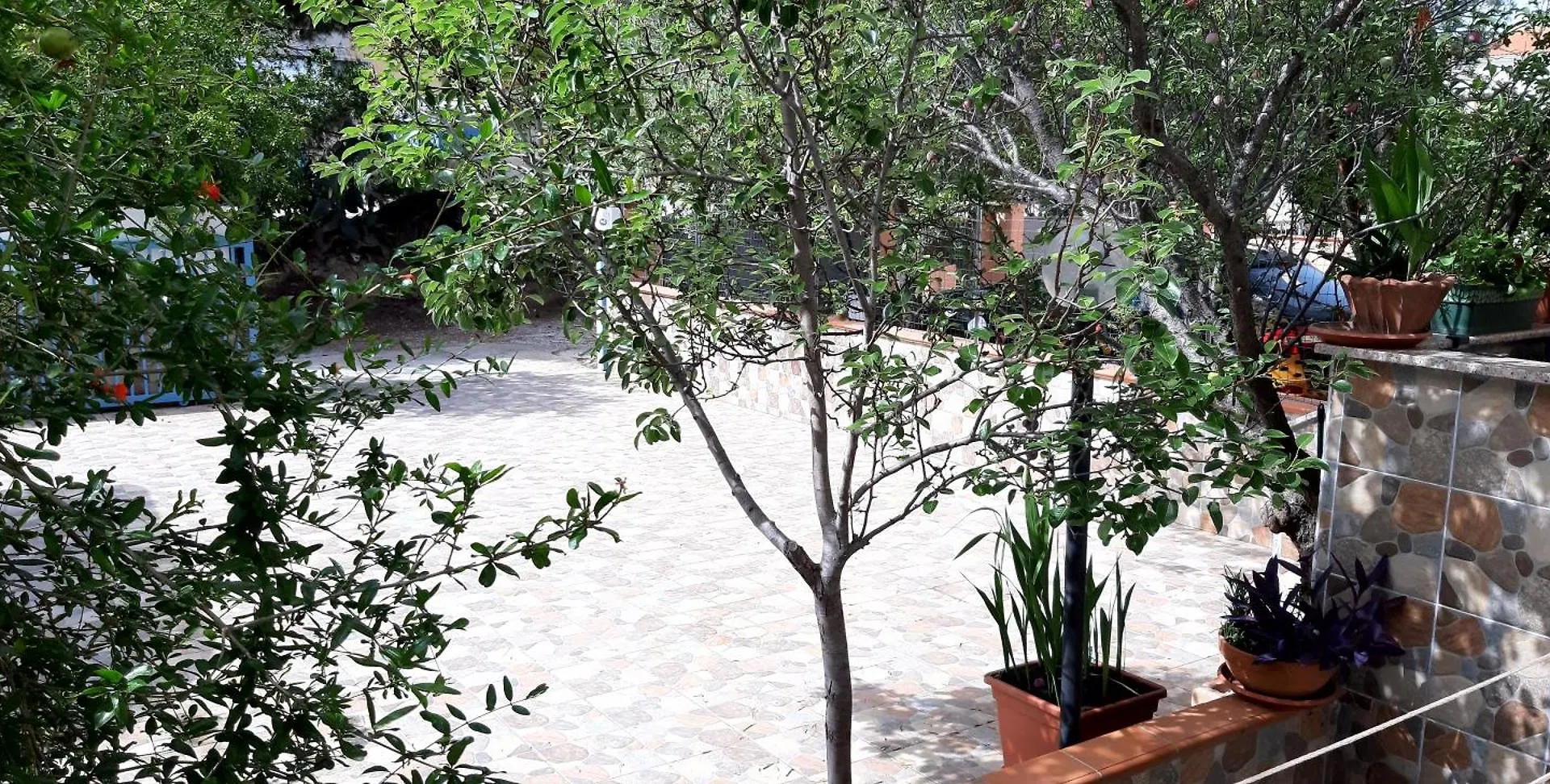 Phiniscollis B&B La Caletta 0*,  Italia
